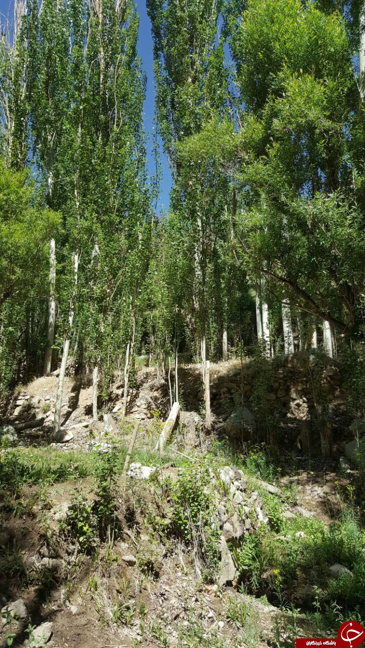 طبیعت دیدنی منطقه تکه + تصاویر