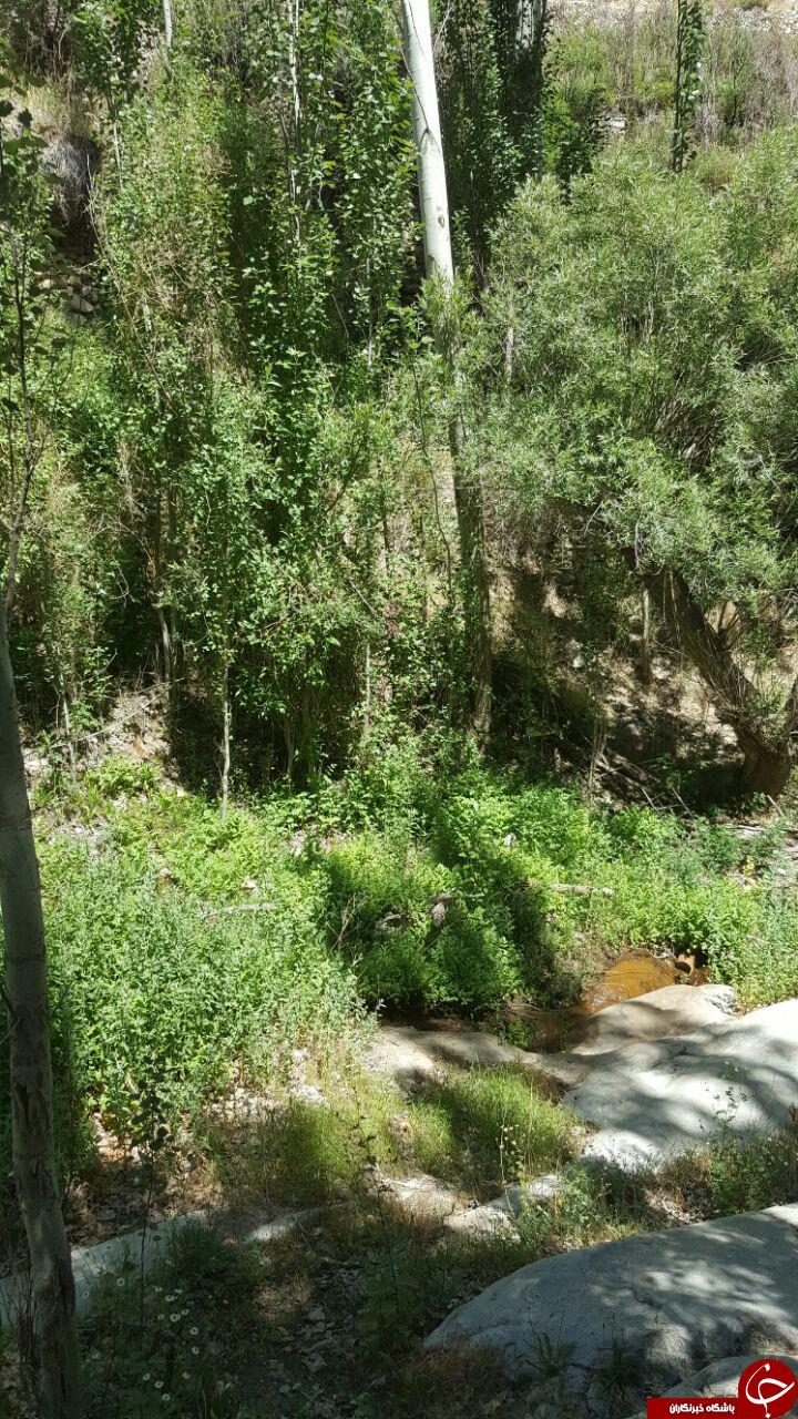 طبیعت دیدنی منطقه تکه + تصاویر