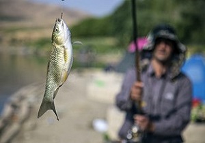 برگزاری جشنواره بزرگ ماهیگیری در سنندج 