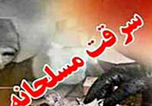 کاهش ۶۷ درصدی سرقت مسلحانه دراستان