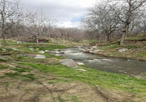نمایی از طبیعت بکر و آرام‎بخش در آرتیمان + تصاویر
