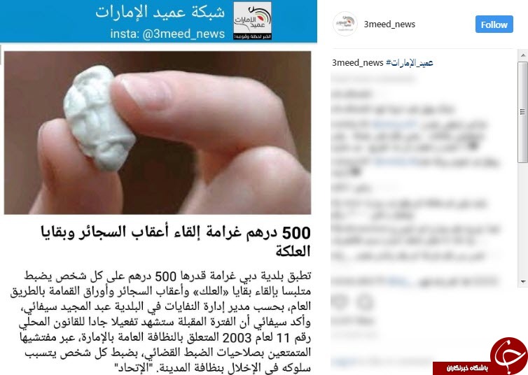 با زباله ریزها در دبی چگونه برخورد می شود؟