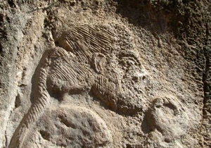 کشف یکی از بزرگترین گورستان های تاریخی در فلاورجان