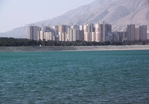 مرگ ماهیان دریاچه چیتگر توسط شهروندان! + فیلم