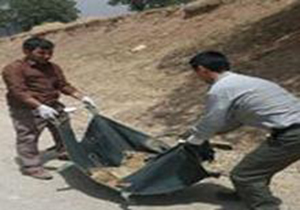 زنده گیری یک قلاده شغال مصدوم در شهرستان چگنی