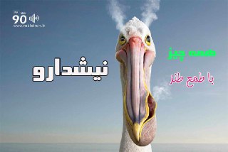علاقمندان طنز&laquo; نیشدارو&raquo; را با طعم دارچین از رادیو ایران بشنوید