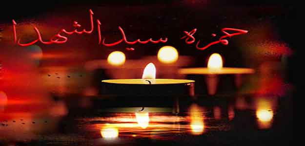 این همان است که یاری ولایت می کرد