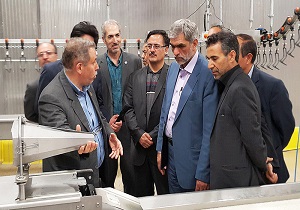 تولید بیش از 2 میلیون تن گوشت سفید در مرغداری های کشور