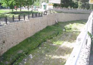 پربازدید