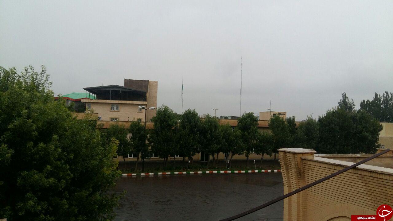 بارش باران تابستانی در اردبیل + تصاویر