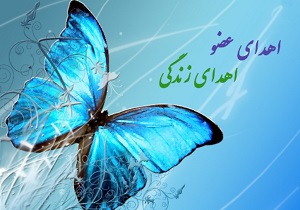 اهدای اعضای بیمار مرگ مغزی