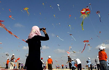 بادبادک ها به پرواز در می آیند