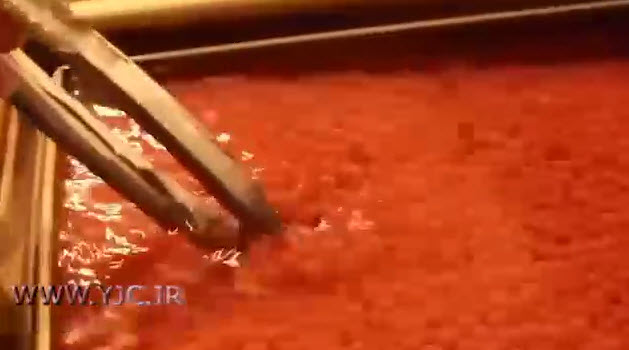 تخلیه خاویار از شکم ماهی +فیلم