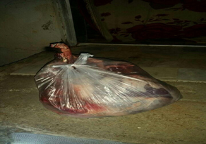 دستگیری شکارچی خوک وحشی در بابل