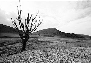 روستاهای استان یزد درآستانه خشکسالی شدید