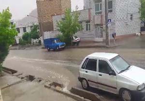 بارش باران تابستانی در بیجار + فیلم