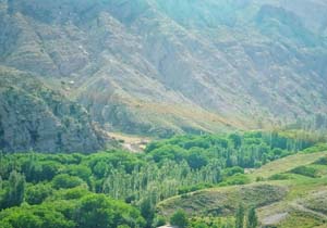 روستای زیبا و سرسبز «یدک» در قوچان + تصاویر
