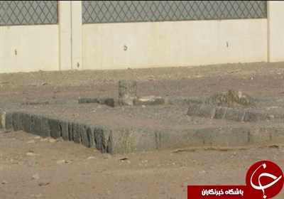 اشعار حمزه پس از اسلام آوردن / عقیده قلبی حضرت حمزه نسبت به پیامبر(ص) با بیان یک جمله زیبا + عکس