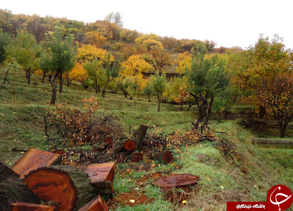 زنوزق، تاریخی&zwnj;ترین روستای پلکانی در مرند + تصاویر