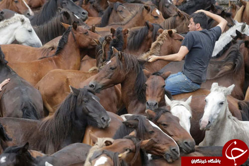 تصاویر روز: از آتش&zwnj;سوزی گسترده در جنگل&zwnj;های کالیفرنیا تا نخستین نمایش عمومی یک بچه فیل