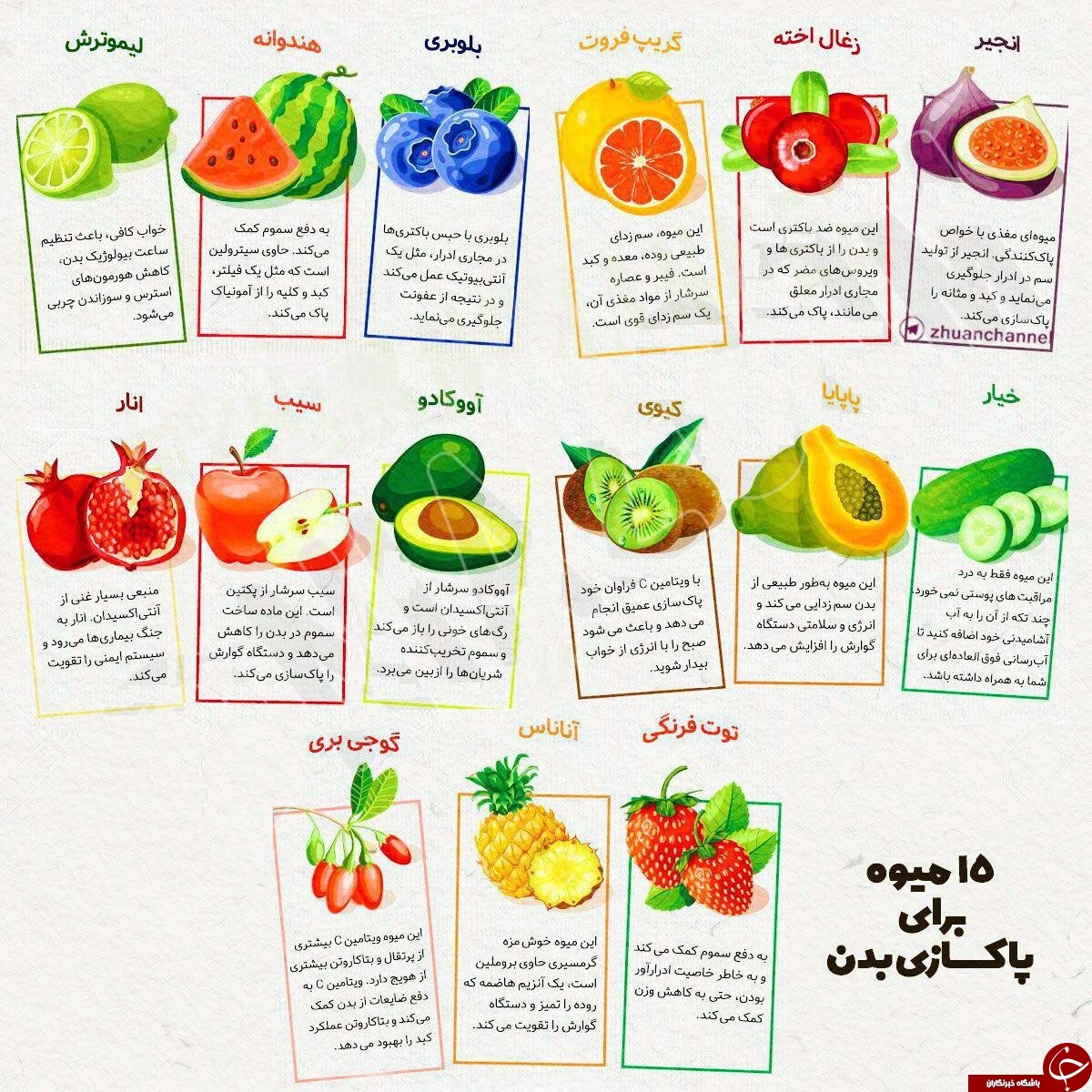 با این 15 میوه شگفت انگیز بدن را پاکسازی کنید + اینفوگرافی
