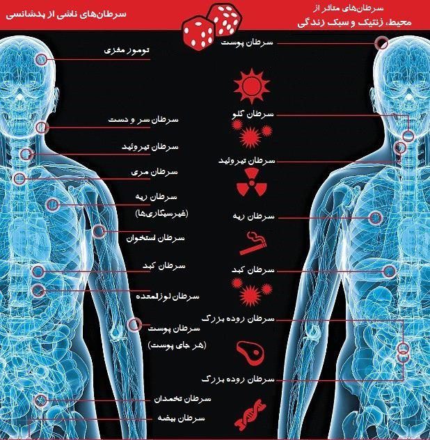 بدشانس ها گرفتار کدام سرطان می شوند؟/اینفوگرافیک