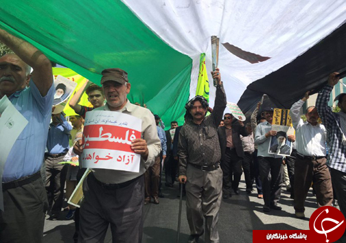 طنین اتحاد در آسمان فارس پیچید + تصاویر