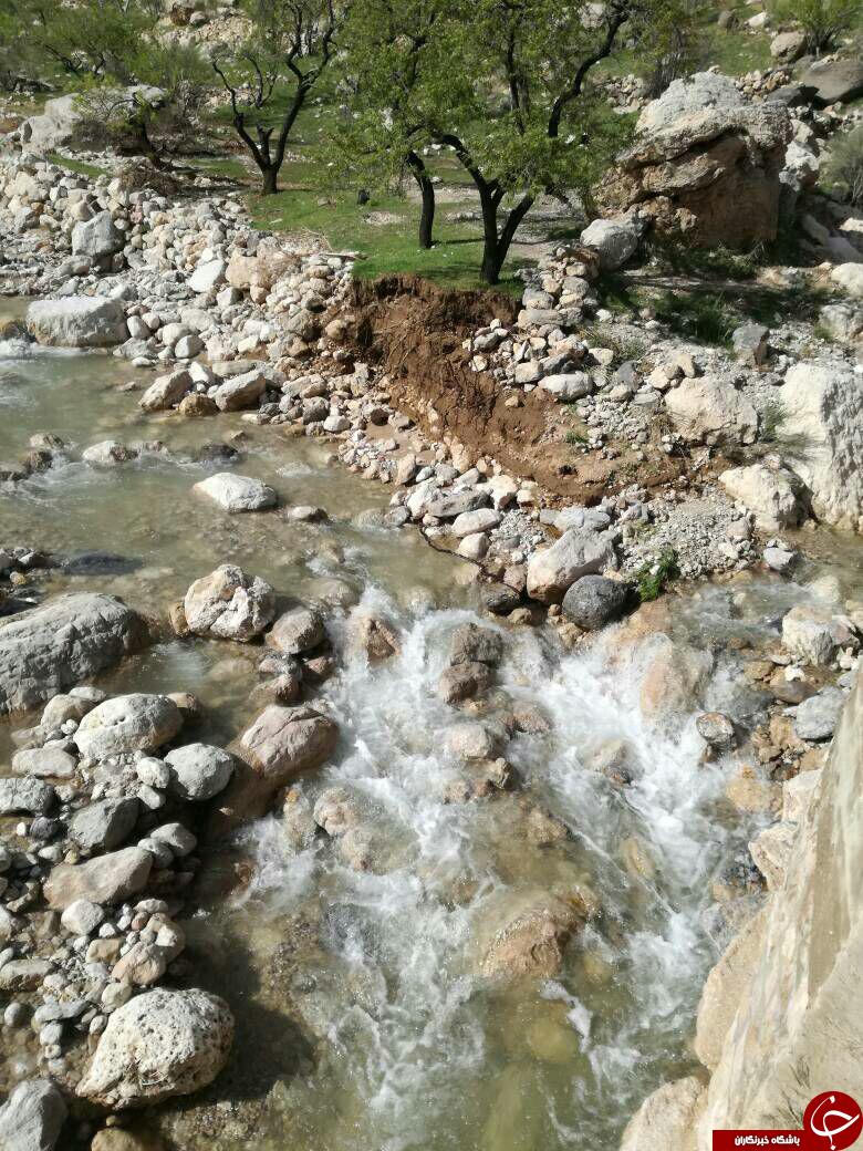 طبیعت دیدنی و بکر در لایزنگان + تصاویر