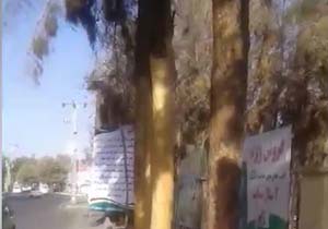 خشک شدن درختان تنومند در زابل + فیلم
