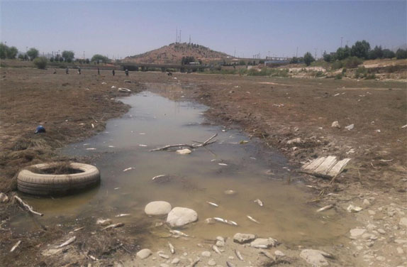 مرگ رودخانه بشار درسایه بی توجهی مسئولان