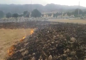 آتش گرفتن خطرناک مزارع در اطراف جنگل + فیلم
