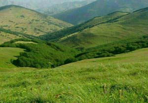 تصاویری از طبیعت دیدنی و بکر در مییسن