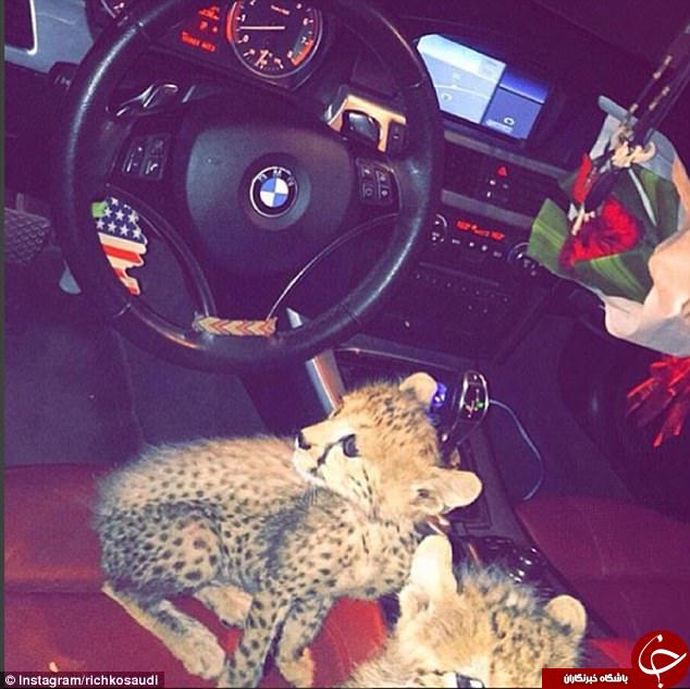 در اینستاگرام بچه&zwnj;پولدارهای عربستان چه می&zwnj;گذرد؟ +تصاویر