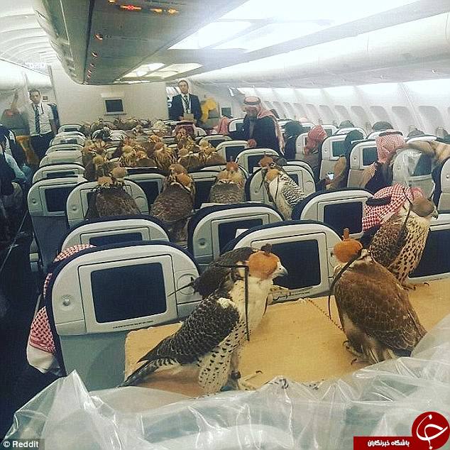 در اینستاگرام بچه&zwnj;پولدارهای عربستان چه می&zwnj;گذرد؟ +تصاویر