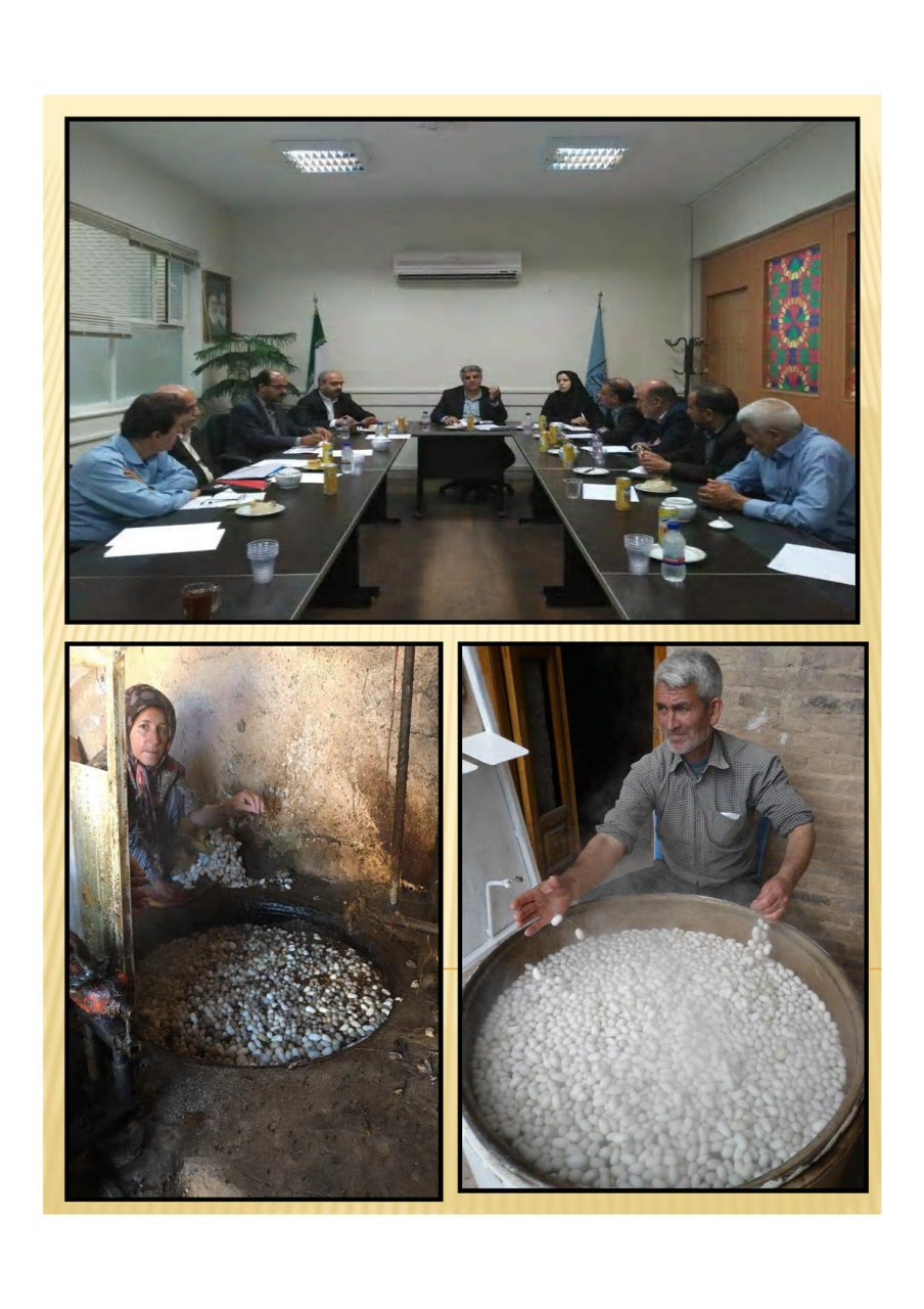 قابلیت شهر بایگ و روستای بسک تربت حیدریه به روستای ملی