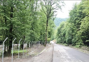 ساماندهی جنگل های ابر و قطری شاهرود
