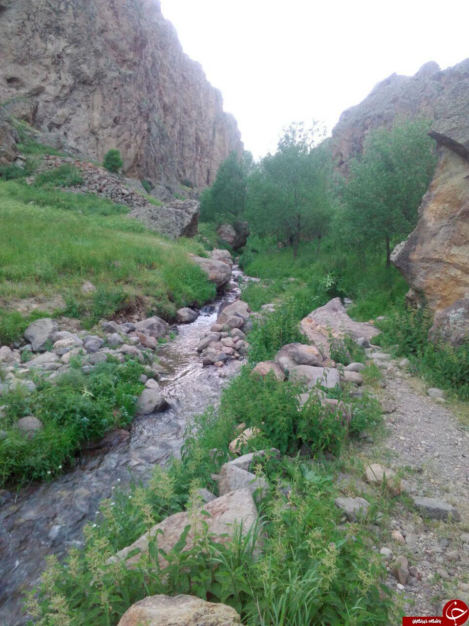 منطقه بکر و زیبا چهل چشمه ورگه سران + تصاویر