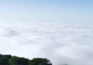 بسته بسته