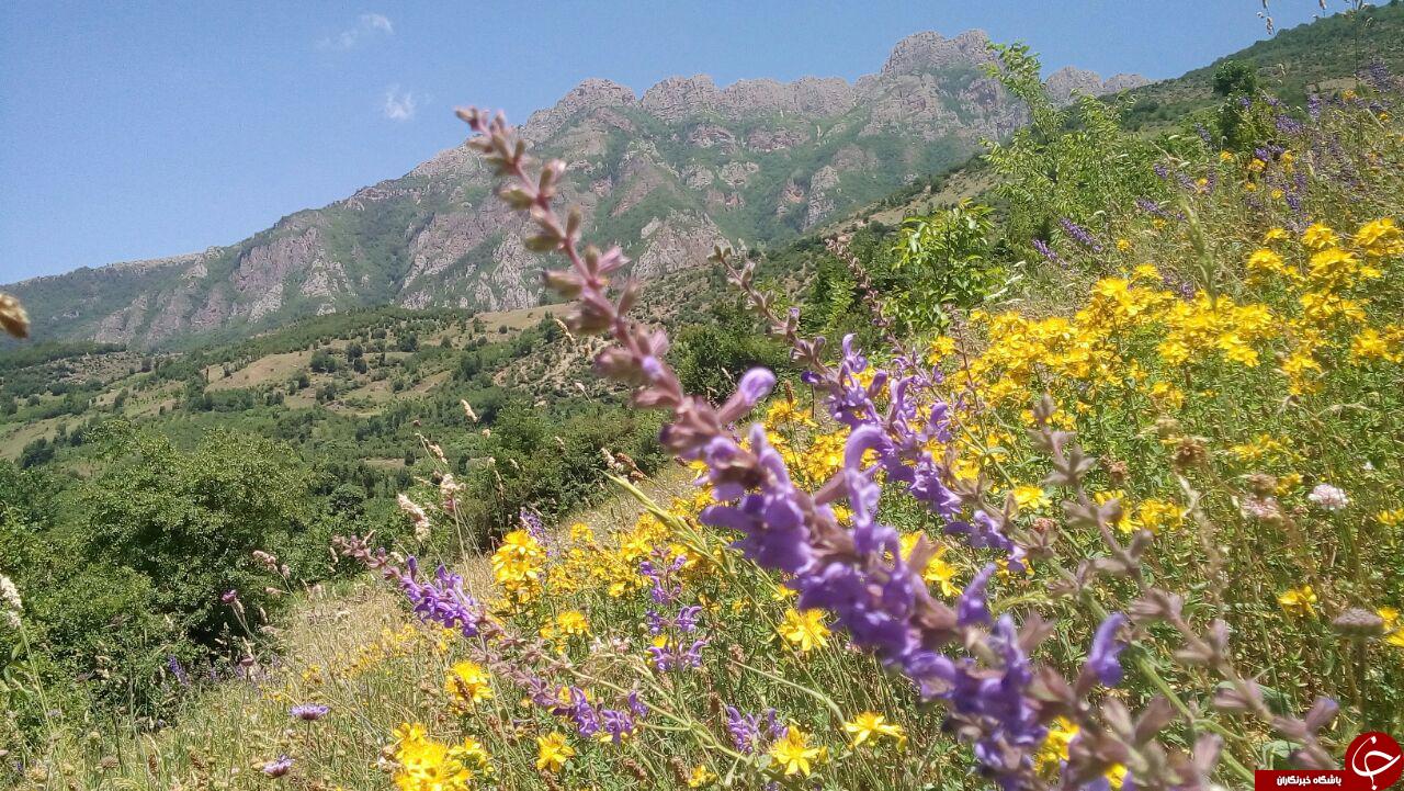 روستای &laquo;لیما&raquo; با جاذبه&zwnj;های گردشگری فراوان + تصاویر
