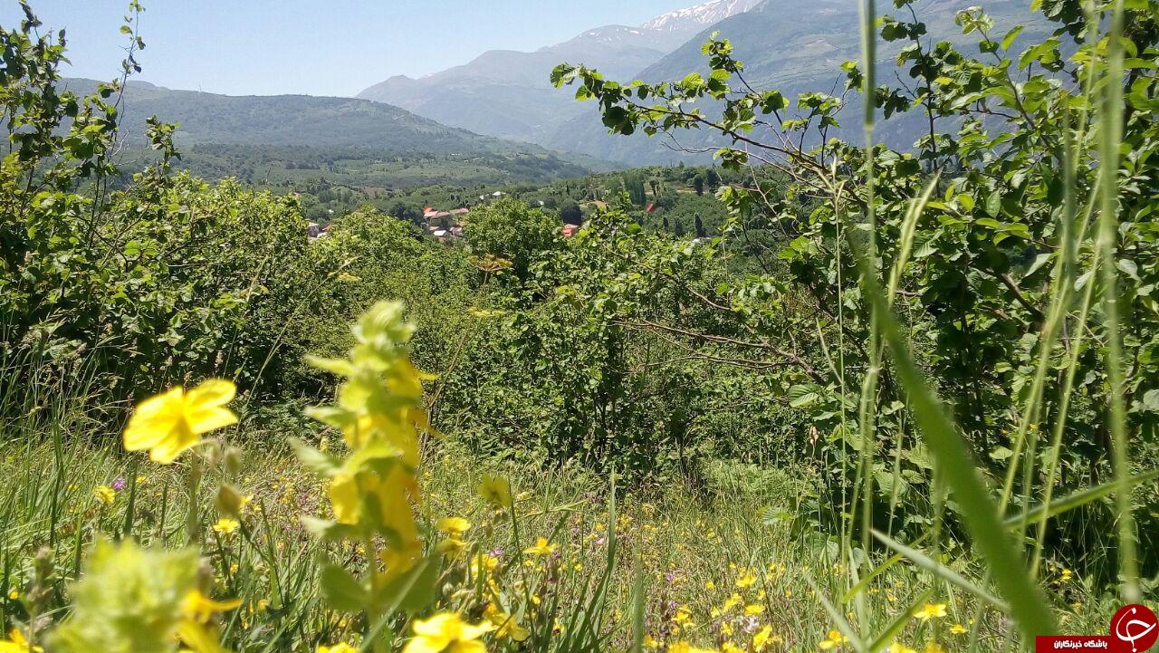 روستای &laquo;لیما&raquo; با جاذبه&zwnj;های گردشگری فراوان + تصاویر