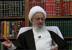 آیت الله مکارم شیرازی: حریم ماشین فضای خصوصی نیست