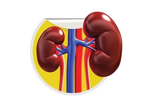 داستان تلخ آب رفتن کلیه‌ها
