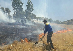 اطفاء 3 مورد آتش‌سوزی وسیع در جنگل‌های استان اردبیل
