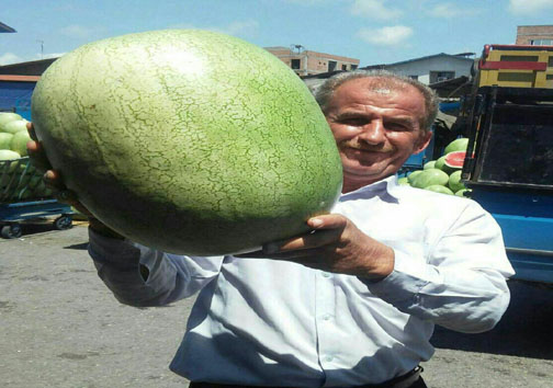 تکذیب برداشت هندوانه ۲۵ کیلویی در آمل + عکس