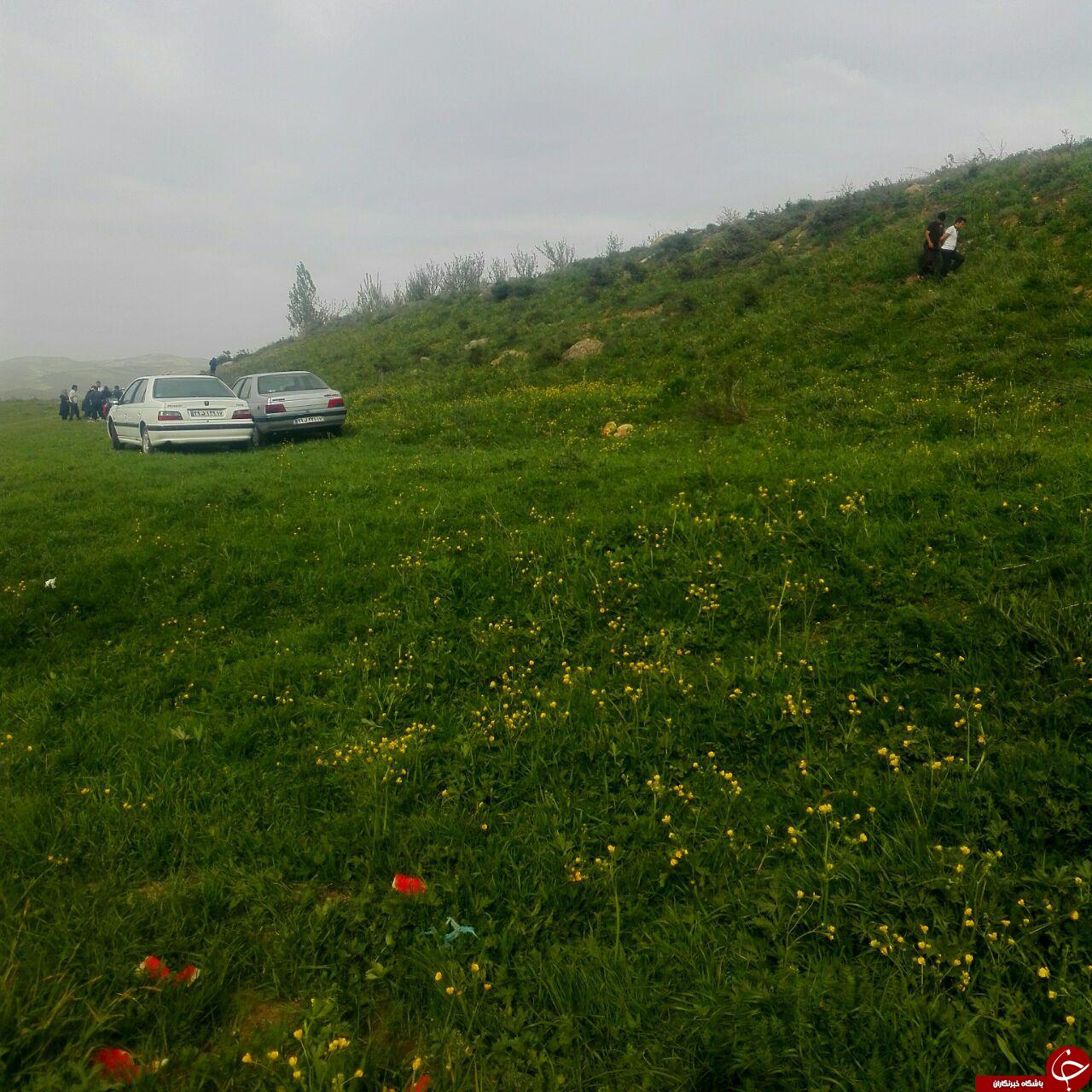 طبیعت سرسبز منطقه خوشاکو + تصاویر