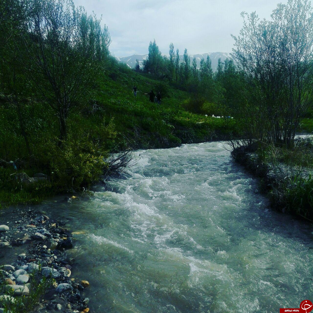 طبیعت سرسبز منطقه خوشاکو + تصاویر