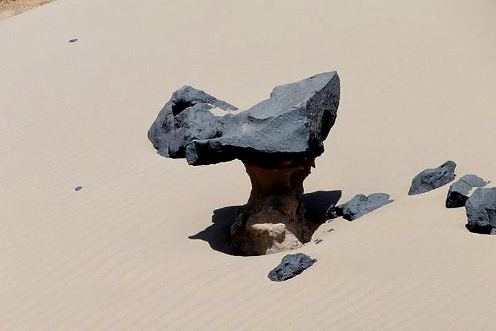 بريانكده&zwnj;ای در دل كوير