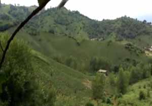 طبیعت بکر و شگفت‌انگیز کوبیجار در قاب دوربین + فیلم