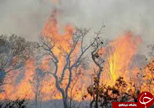 از 2 کشته در تصادف محور نی ریز تا مهار شعله های آتش در جنگل زاگرس