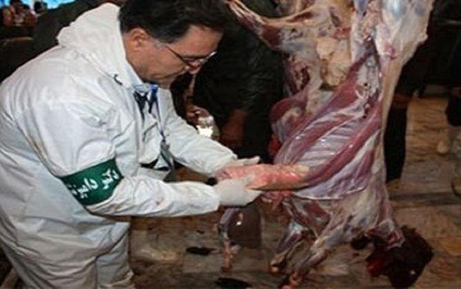 پشت پرده وابستگی مالی ناظران بهداشتی دامپزشکی به کارفرمایان چه می گذرد؟